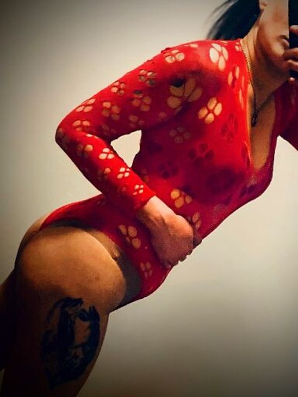 Lara GFE — Žilina, foto 9