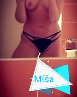 Míša ÚT 9-21h Litomyšl