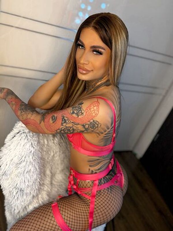 Nadin Trans — Nové Zámky, foto 7